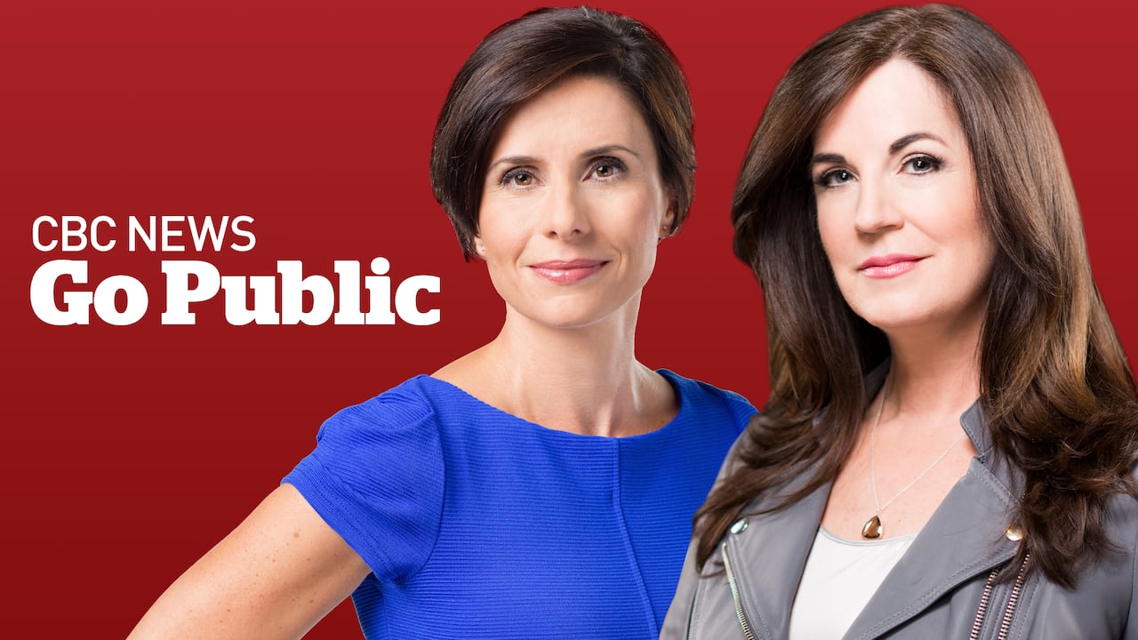 Two women stand in front of a red background that says "CBC News Go Public" in white text. The woman on on left, Rosa Marchitelli, has short dark hair and is wearing a blue top, and the woman on the right, Erica Johnson, has long brown hair past her shoulders and is wearing a grey jacket over a white top.